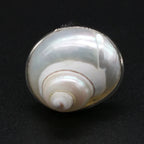 Shell Mother-of-Pearl Ring