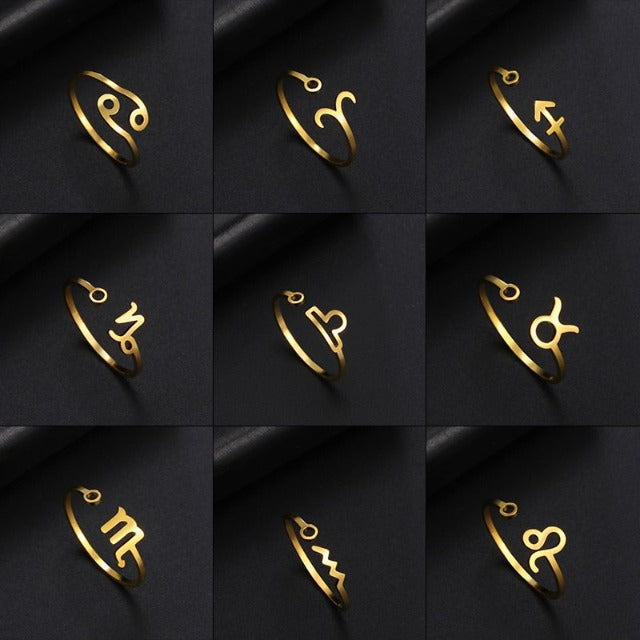 Zodiac Sign Ring 12 Constellations Signet Ring Astrology