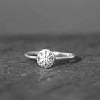 Vegvisir Viking Ring in Silver