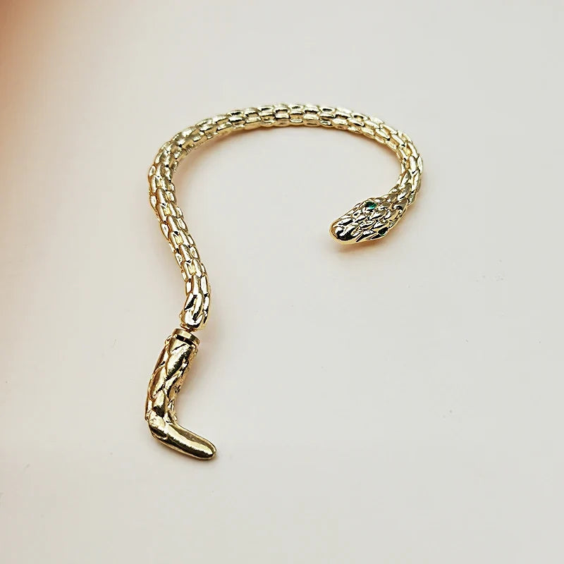 Long Snake Dangle Earring pr