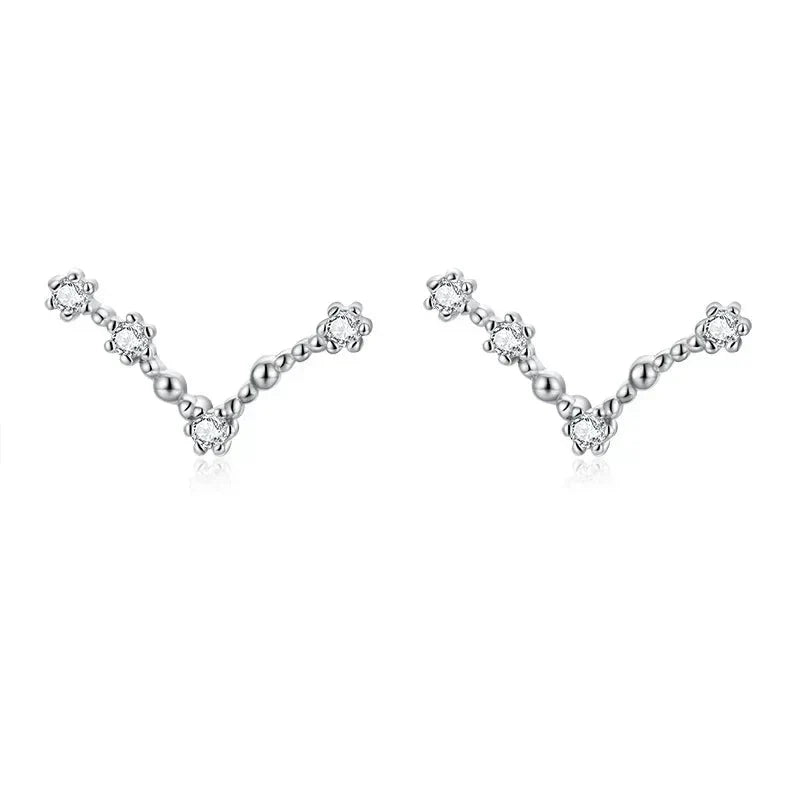 12 Constellations Zodiac Sign Earrings for Women Aries