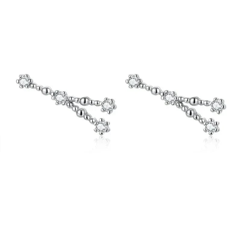 12 Constellations Zodiac Sign Earrings for Women Cancer