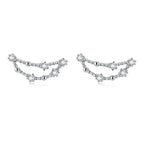 12 Constellations Zodiac Sign Earrings for Women Capricorn