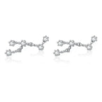 12 Constellations Zodiac Sign Earrings for Women Leo
