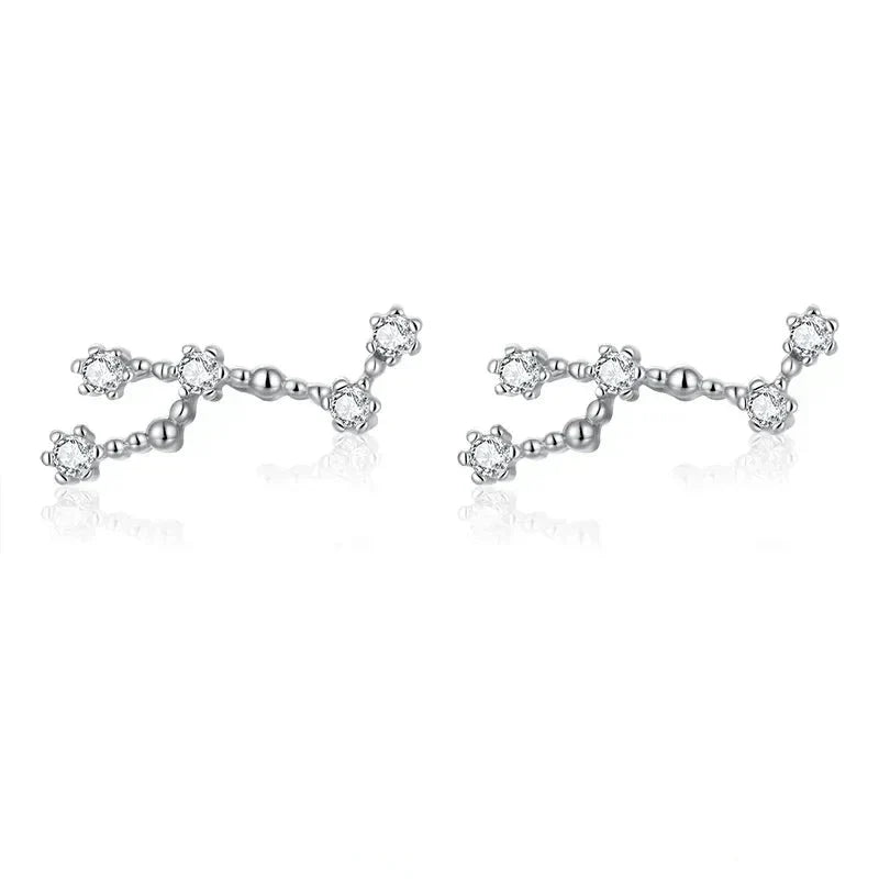 12 Constellations Zodiac Sign Earrings for Women Leo