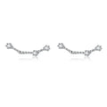 12 Constellations Zodiac Sign Earrings for Women Pisces