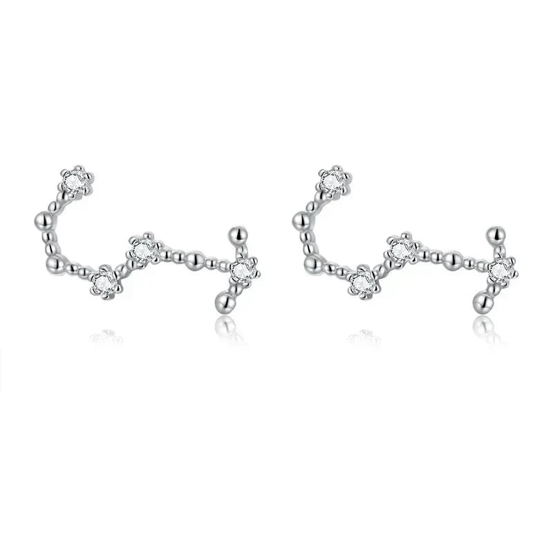 12 Constellations Zodiac Sign Earrings for Women Scorpio