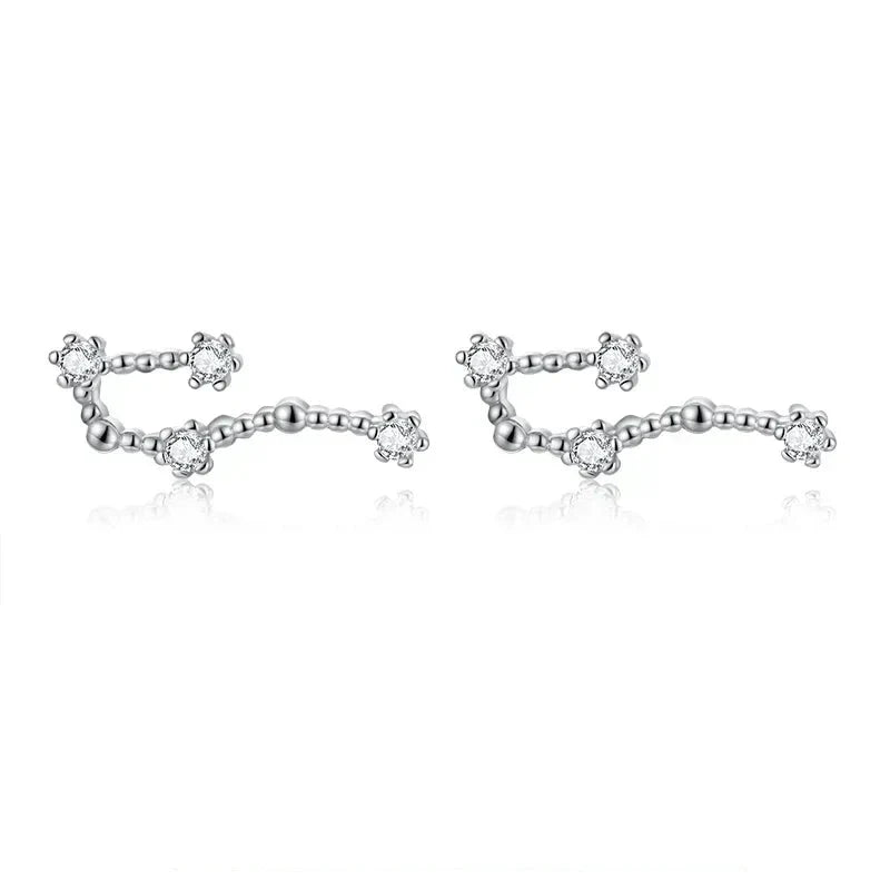 12 Constellations Zodiac Sign Earrings for Women Aquarius