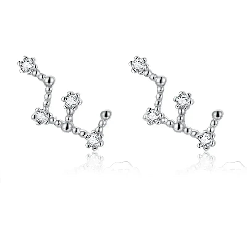 12 Constellations Zodiac Sign Earrings for Women Virgo