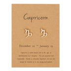 12 Constellations Zodiac Sign Earrings Capricorn