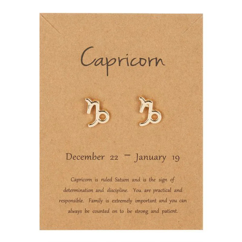 12 Constellations Zodiac Sign Earrings Capricorn