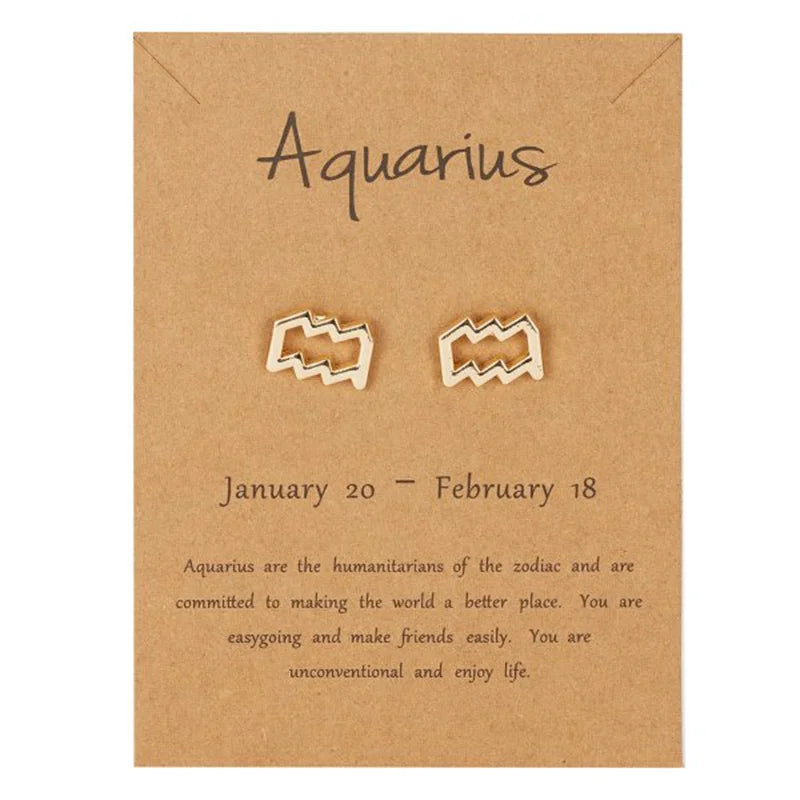 12 Constellations Zodiac Sign Earrings Aquarius
