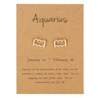 12 Constellations Zodiac Sign Earrings Aquarius